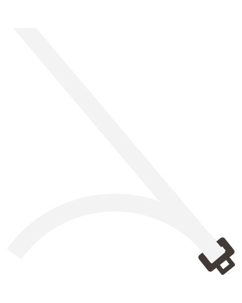 Adult Seat Belt Graphic